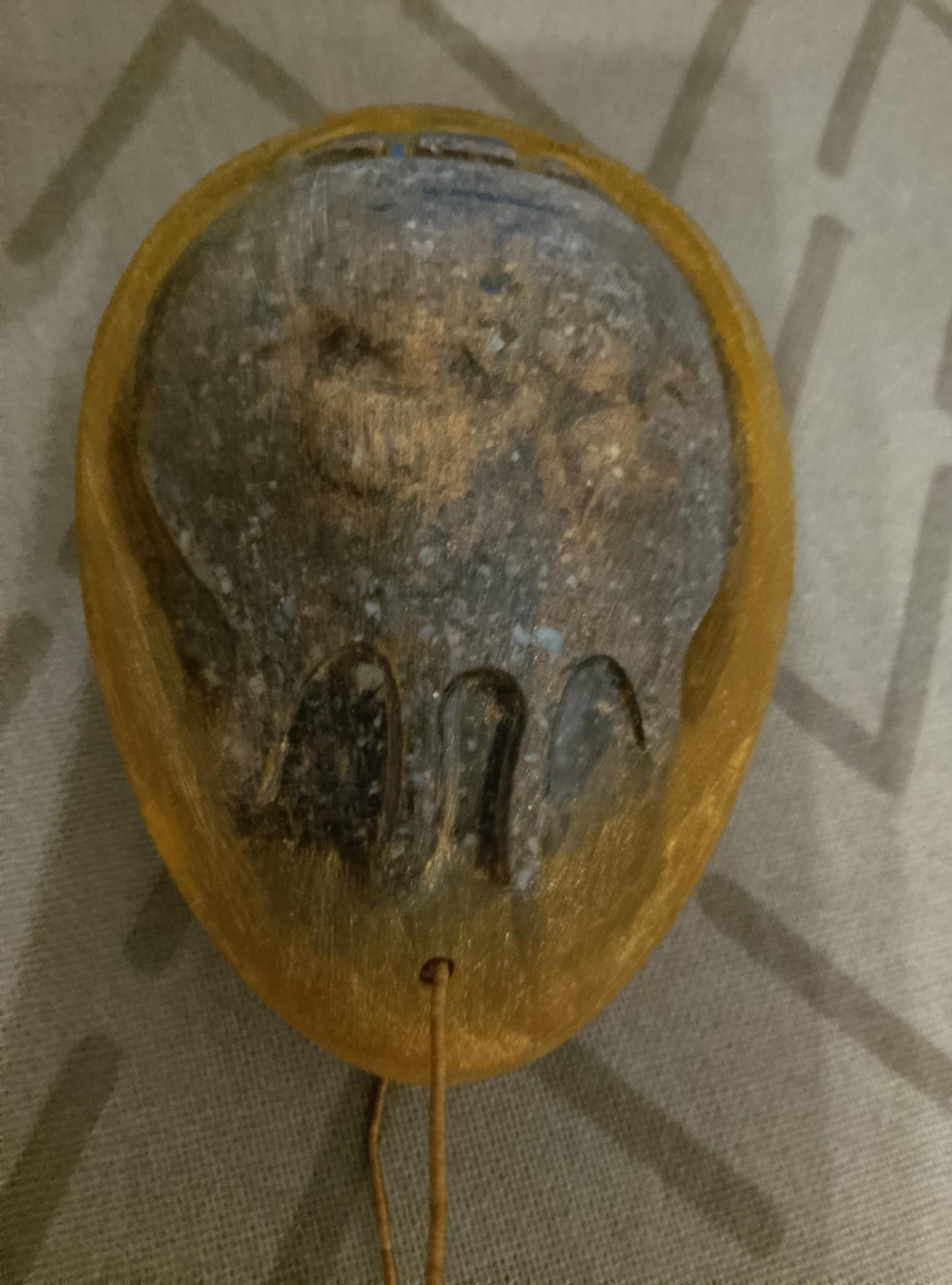 Handmade Decorative Egg – Unique Art Gift