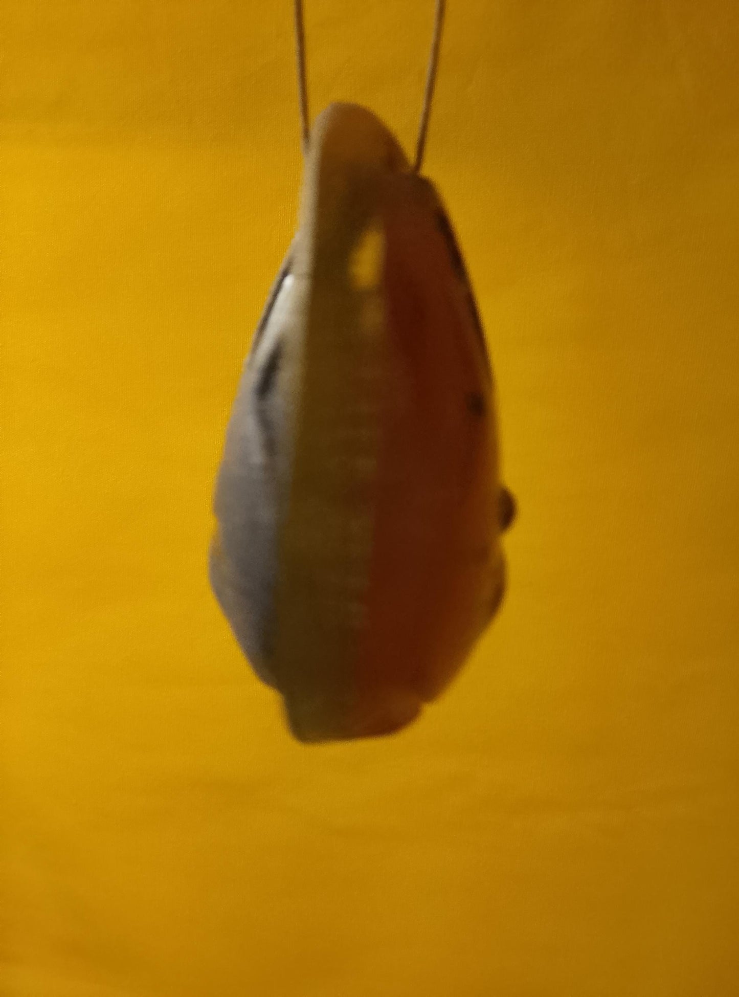 Handmade Decorative Egg – Unique Art Gift